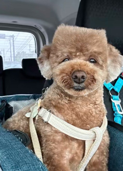 「これが僕のマイスタイル」