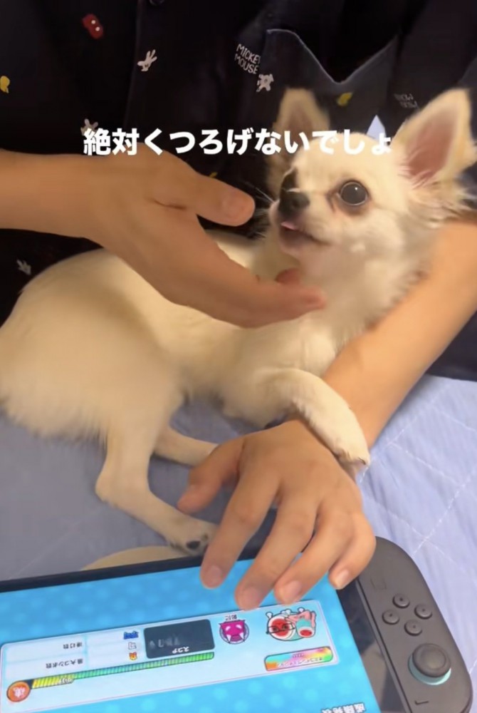 みるくん、嬉しそう