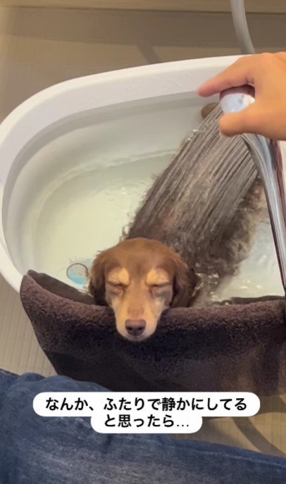 ついつい眠たくなっちゃう