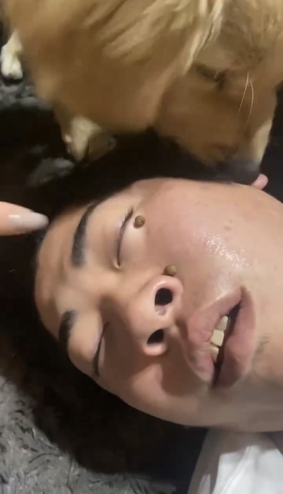 一粒ずつ丁寧に食べる子犬