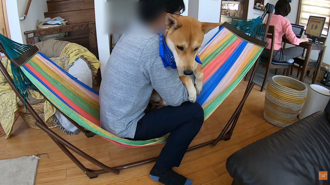 お父さんと一緒に乗ってみます