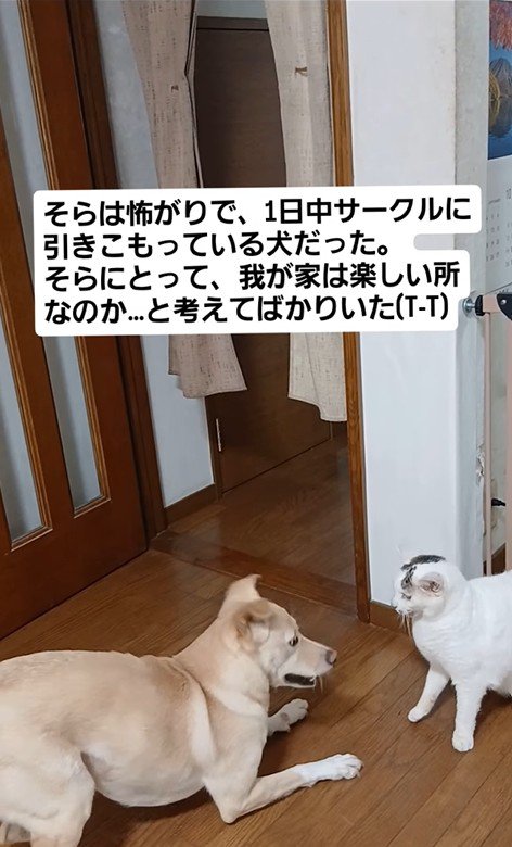 そらちゃんの変化3