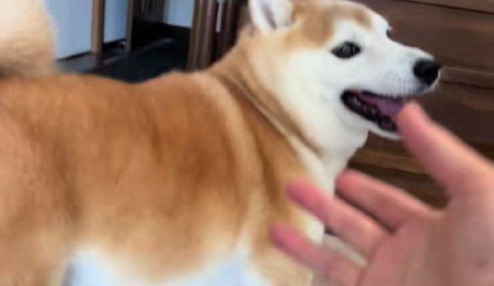 はじけるような笑顔