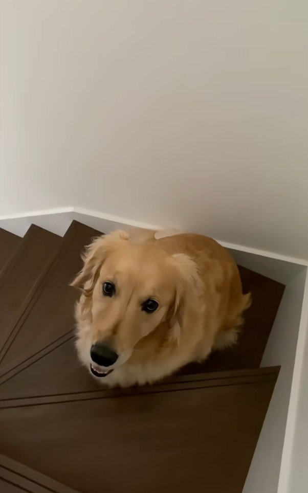 おすわりするメルちゃん