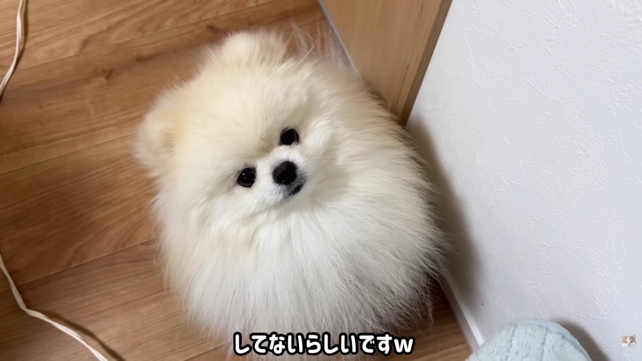 「してないのね」と認めてあげたら…