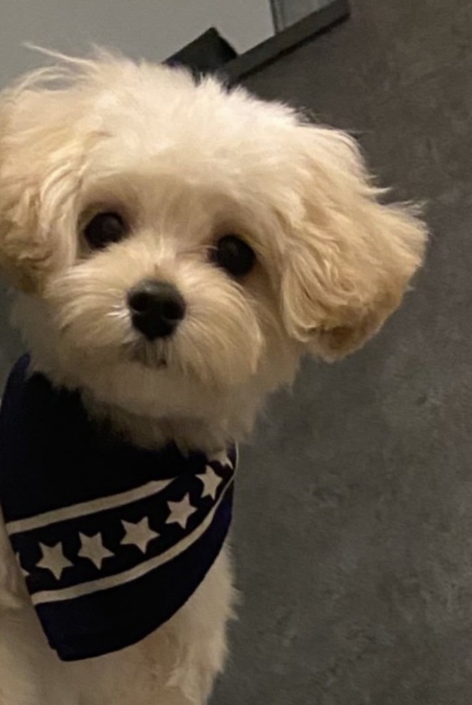 「ぼくを…おいてくの…？」
