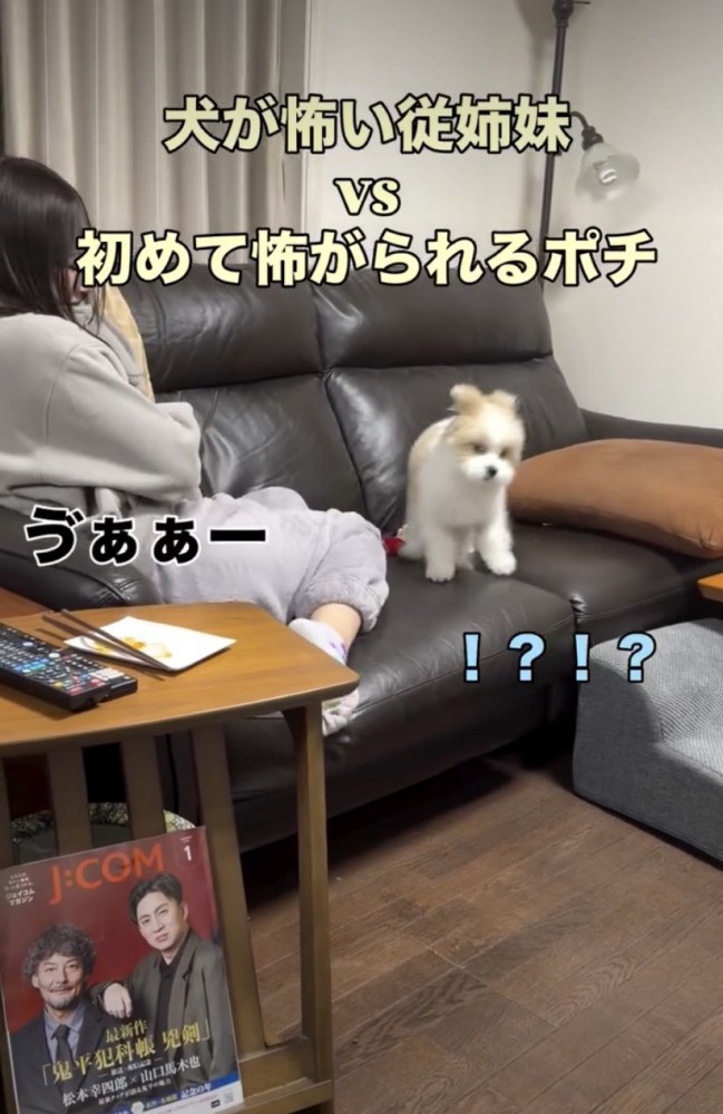 ビックリで耳がピンッ！