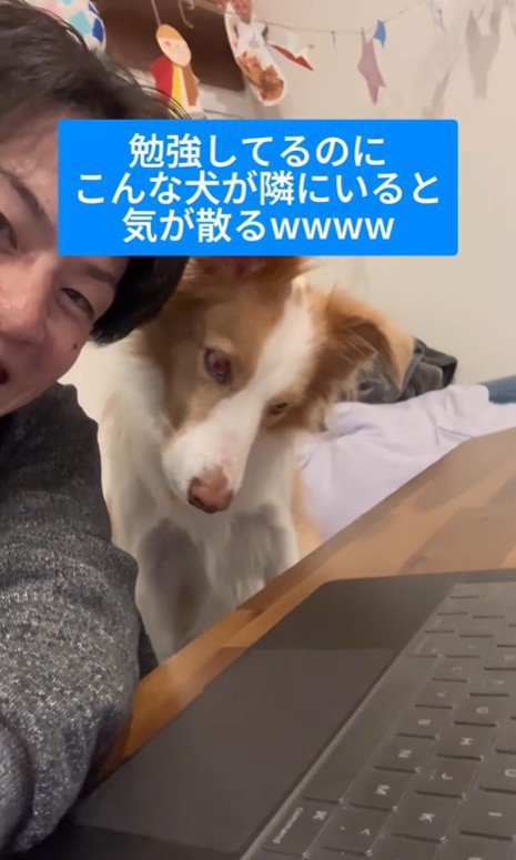 勉強中に隣にきたラスカルくん6