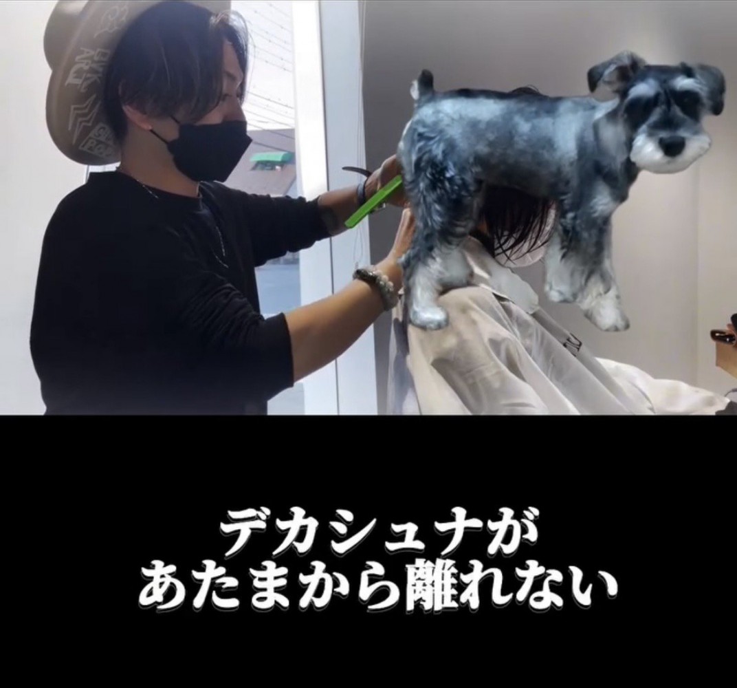仕事中の人