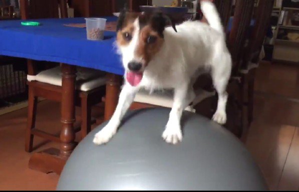 「ね！すごいでしょ？」