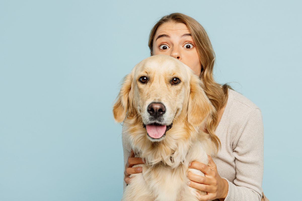 犬を不快にさせる『スキンシップ』5選 知らぬ間に苦痛を与えている可能性も…