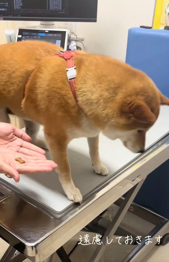 おやつを食べないあーちゃん