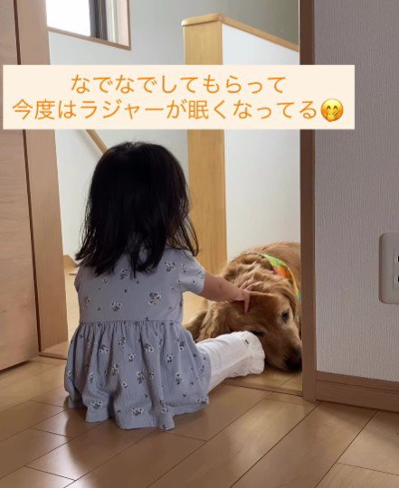 ラジャーくんも眠くなる…