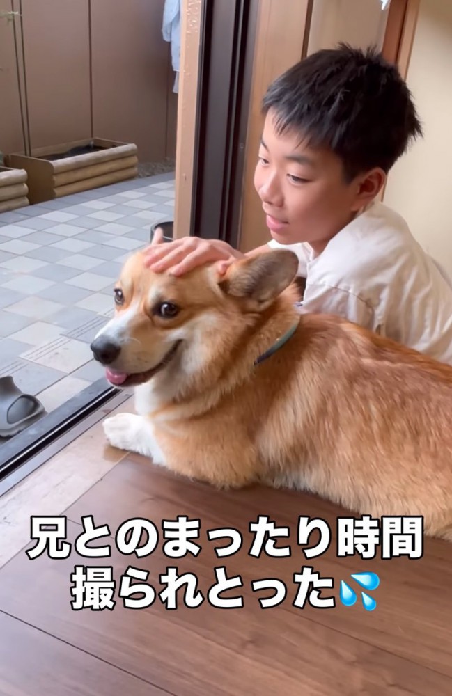 微笑む犬