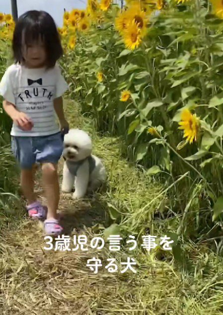 温かな日々が続きますように！