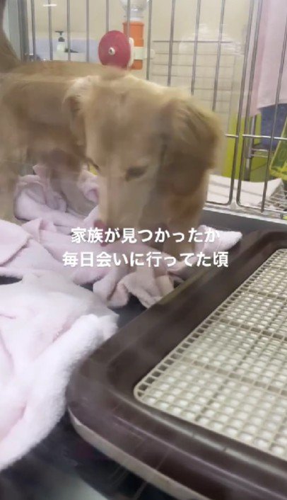 わんこと顔なじみに