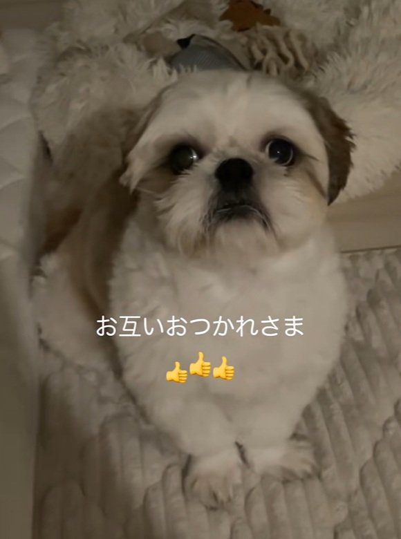 ちろ君をねぎらうママ