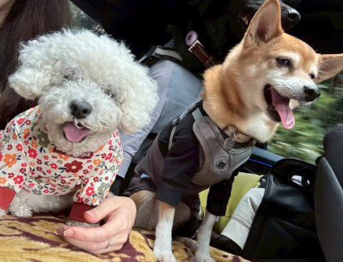 笑顔で毎日を楽しんでるよ