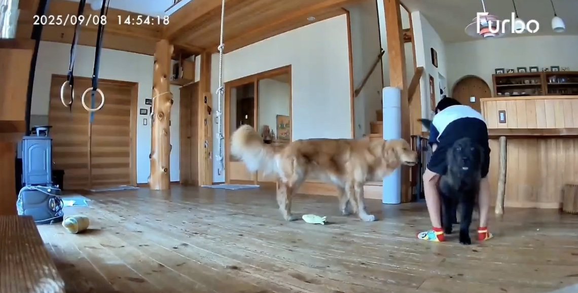 知られざる子どもたちの姿