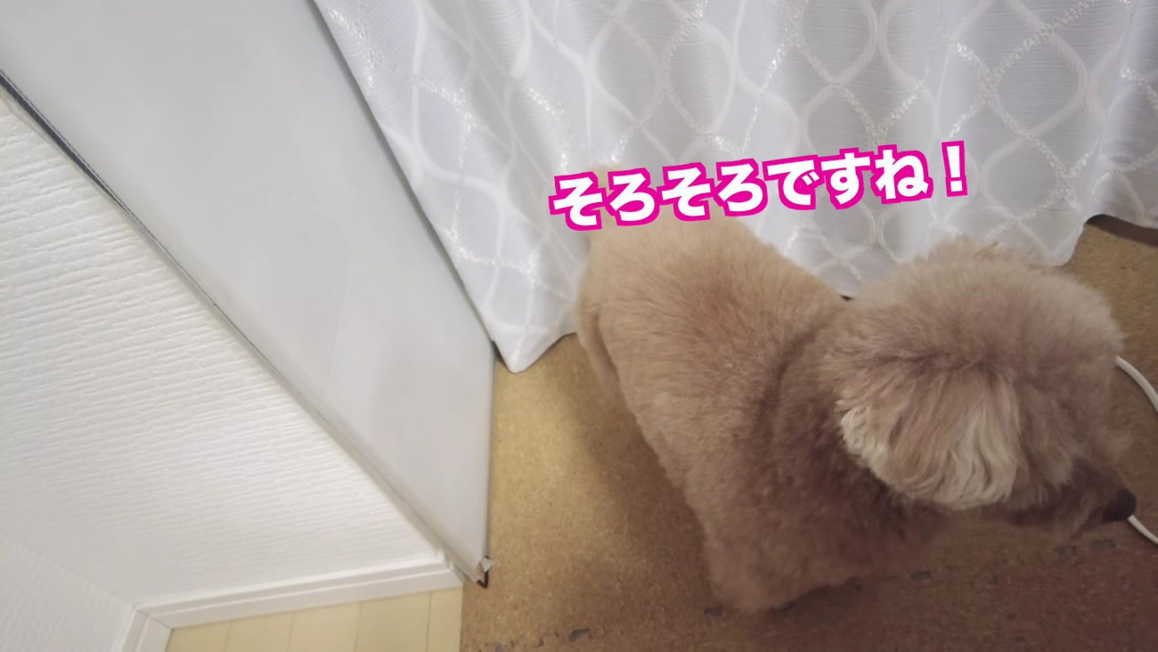 「そろそろかな！？」