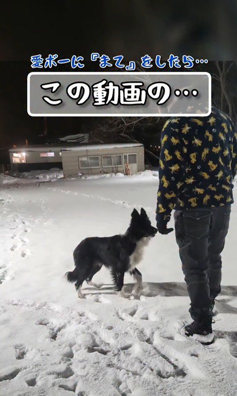 雪の中でトレーニング開始♪