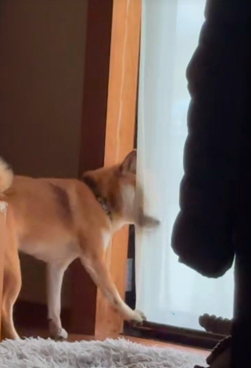 リクくんにハプニング発生7