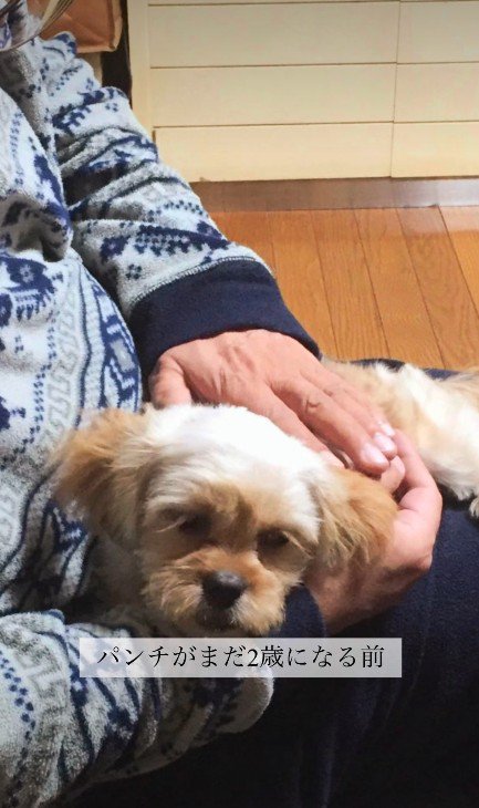 お父さんのことが大好き