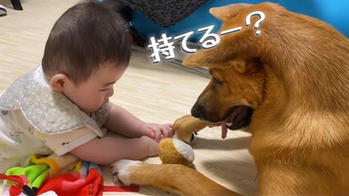 そらちゃんと赤ちゃん5