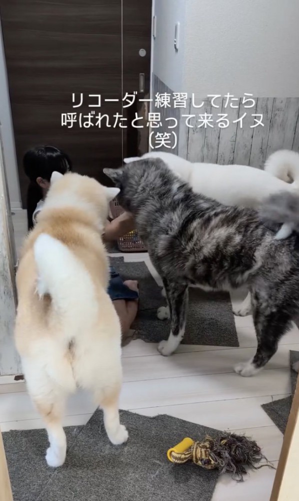 囲まれてしまった！