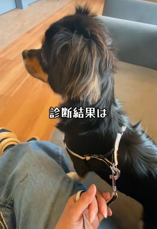 病院で診てもらいました