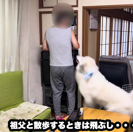 嬉しくて特大ジャンプ♪