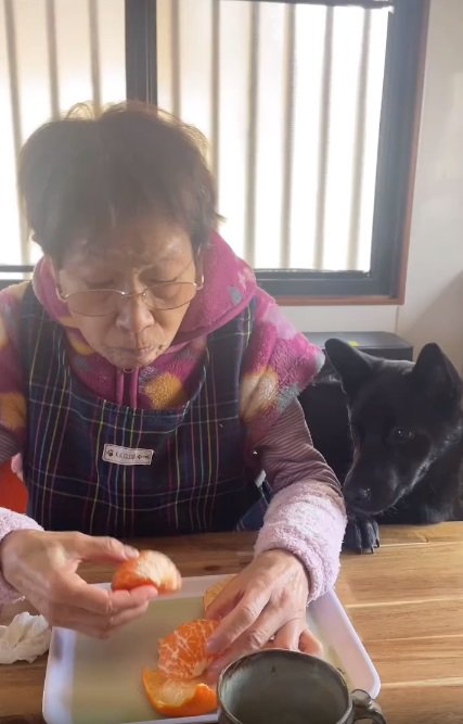 みかんがほしいロイくん