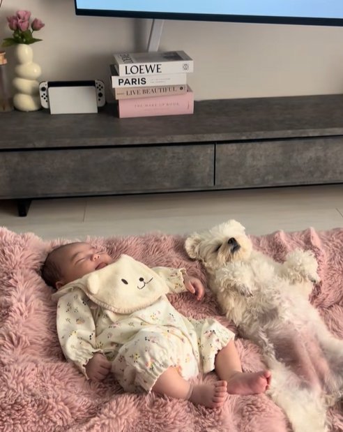 眠る赤ちゃんと小型犬