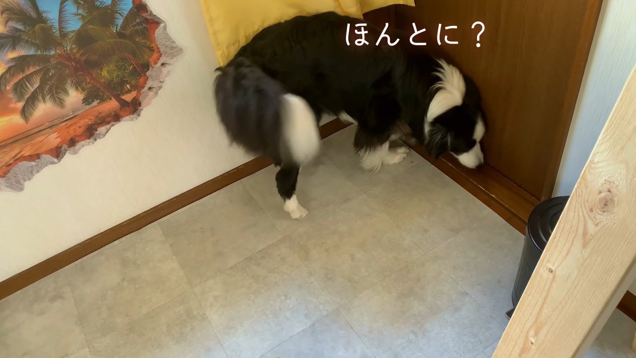 「本当に行っちゃったの？」とドアの前へ