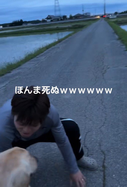 お散歩中のベイリーちゃんとパパ5