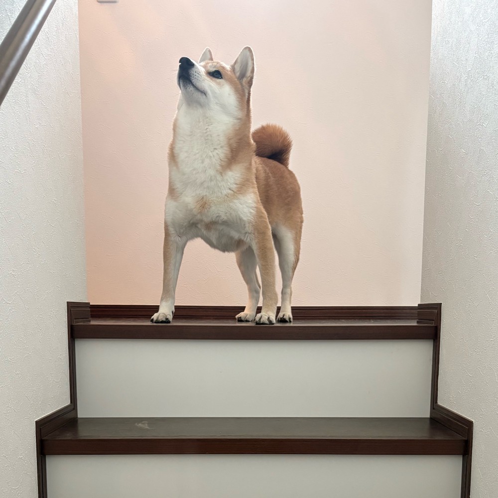 凛々しい
