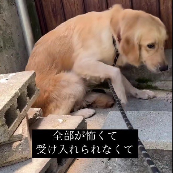 なかなか心を開けない…