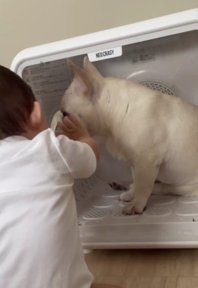 「こんなところにいた！」