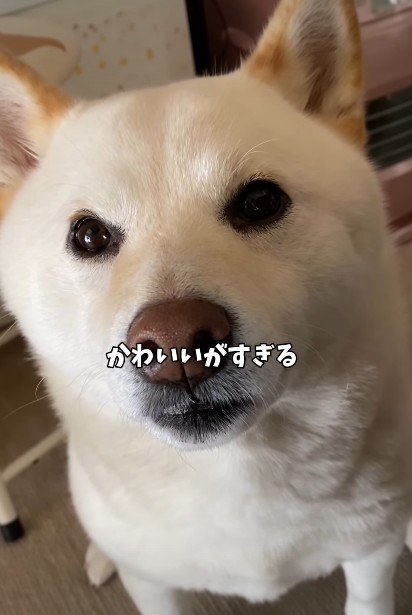 とっても可愛いはるちゃんでした