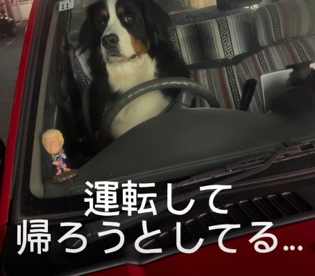 落ち着いた表情にクスッ