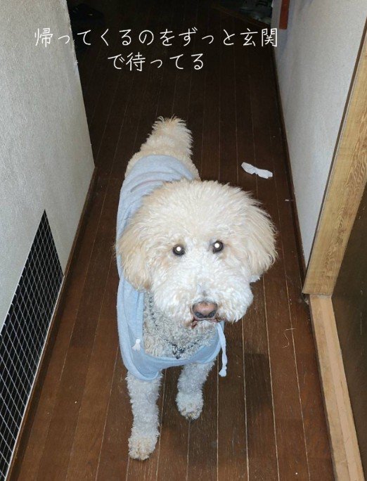 「ママは帰ってこないの？」