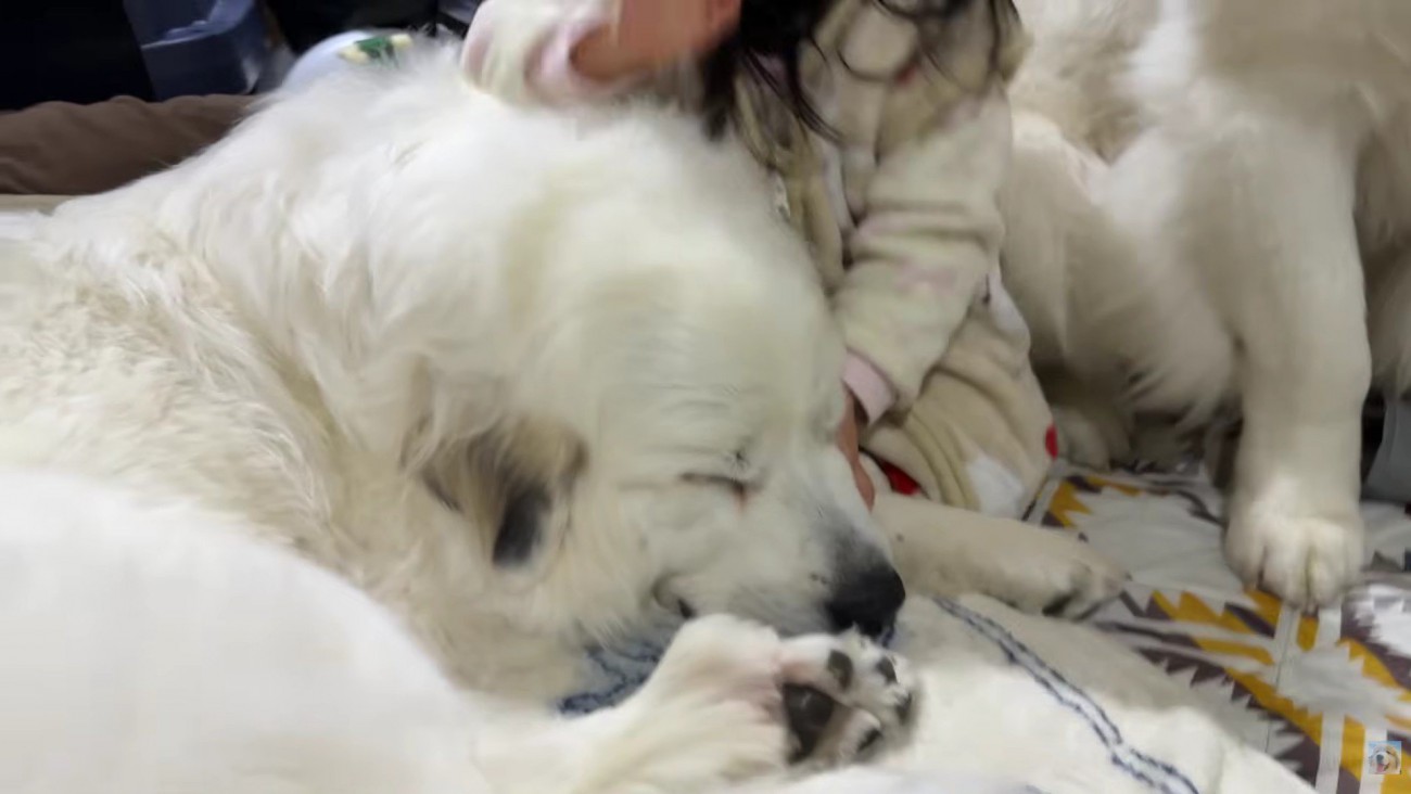 寝かし付けもお手の物♡