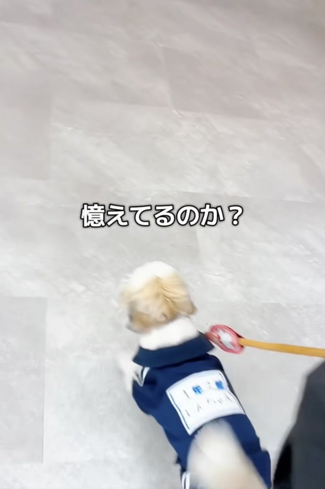 緊張の瞬間…！