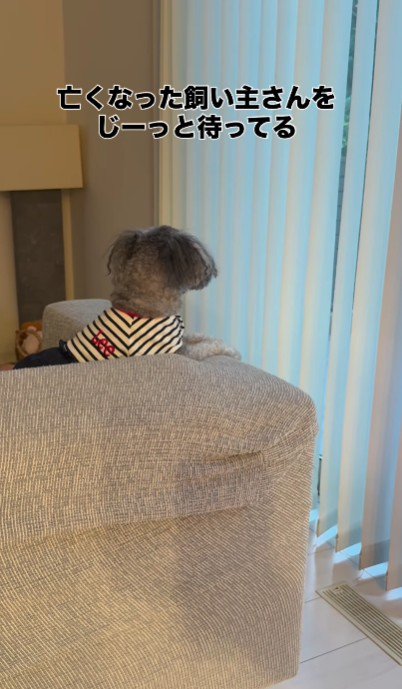 「そろそろお迎え来るかな？」