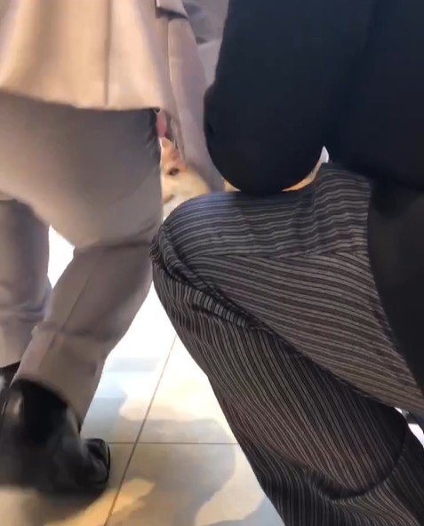 リングドッグに挑戦する豆助座衛門くん5