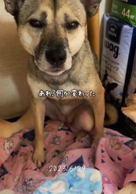 自己主張もできるようになった