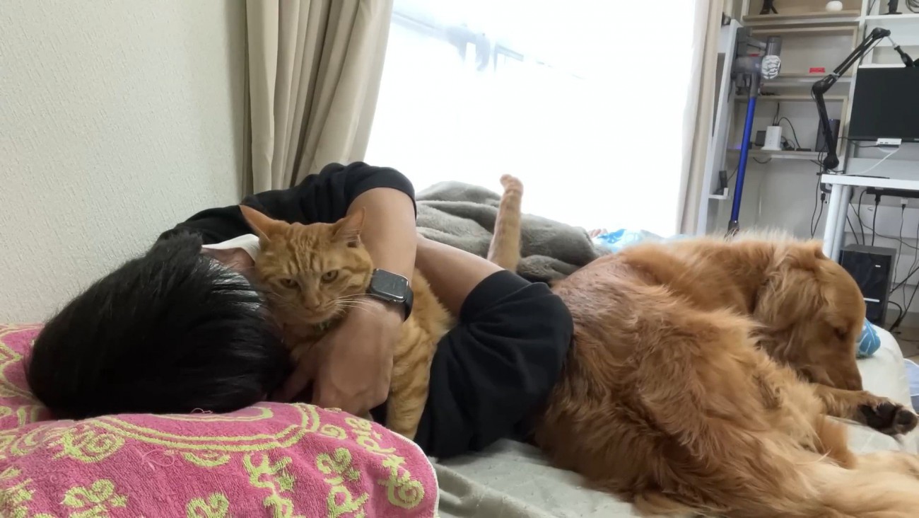 体調不良時のよもぎちゃん＆だいず君の対応6