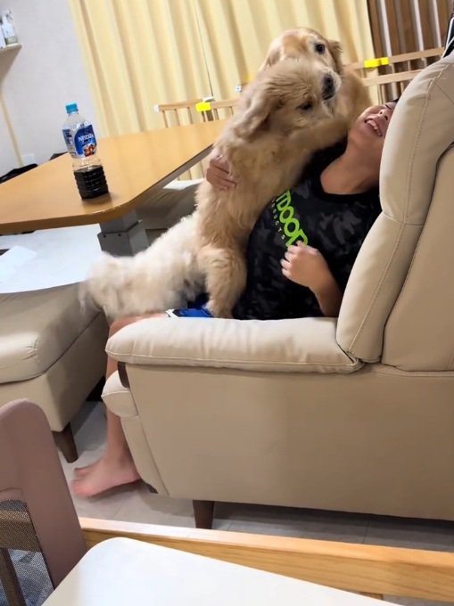 助けを呼ぶお孫さん