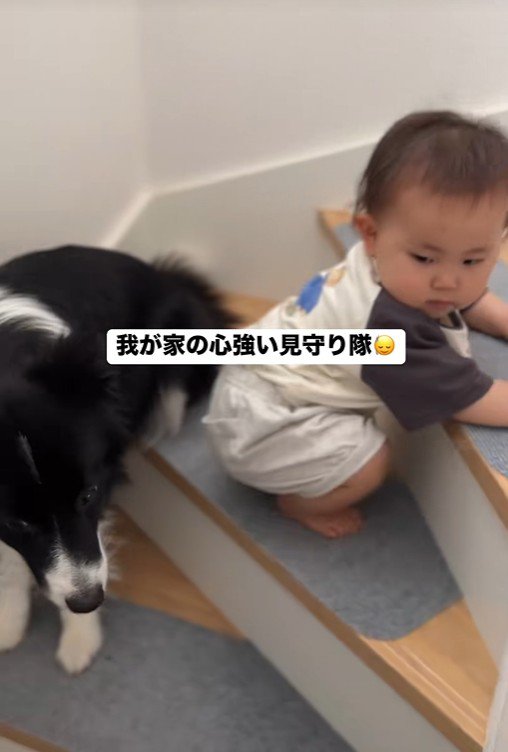 赤ちゃんを見守るヒマちゃん6