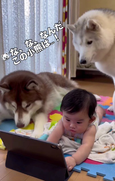 「なにそれ気になる」